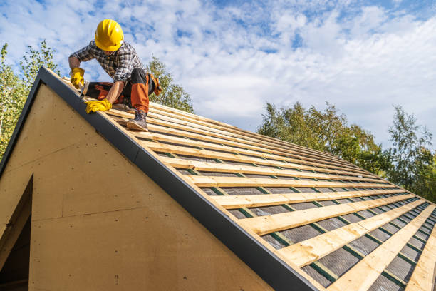 Best Roof Gutter Cleaning  in Hobbs, NM